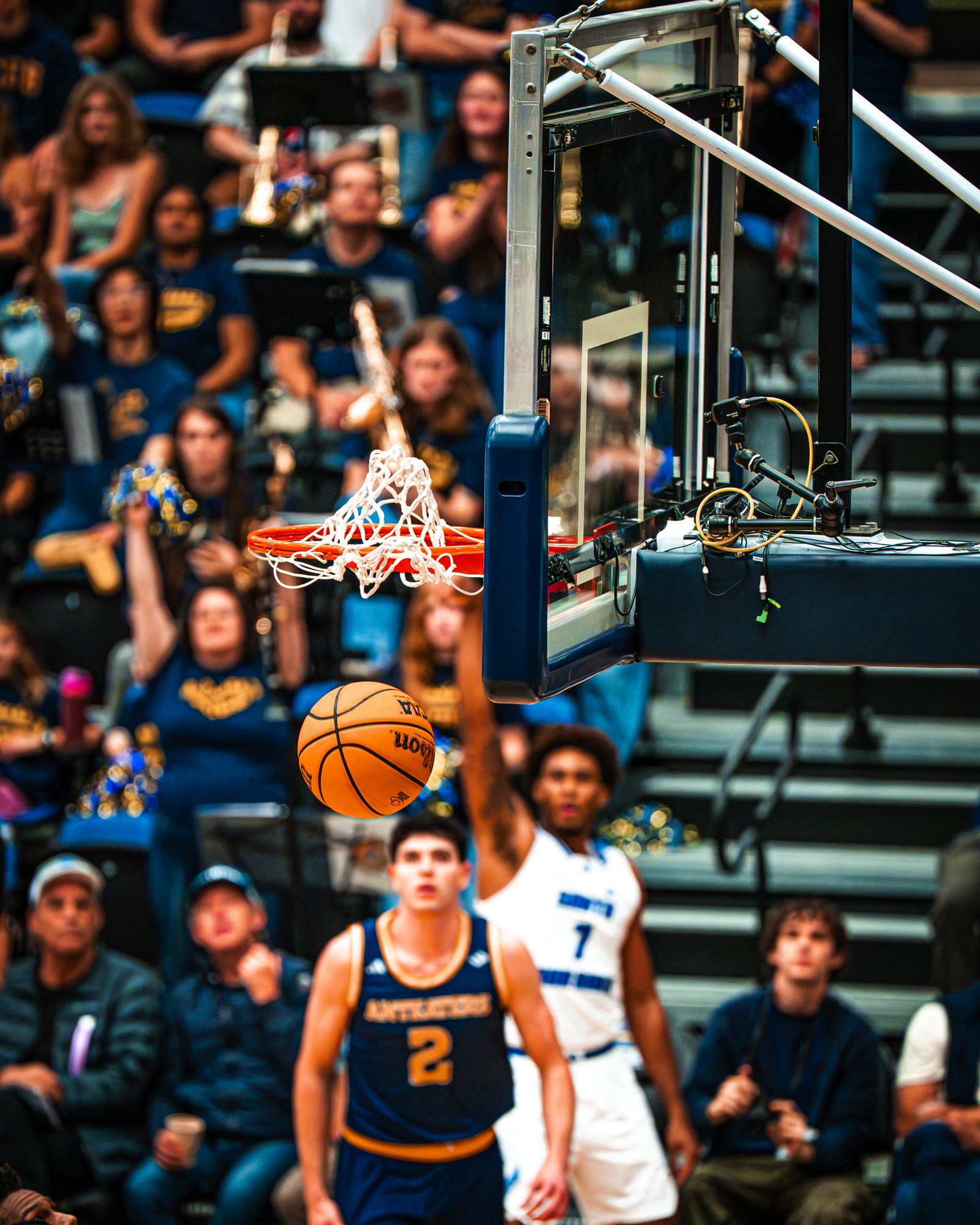 Basketball photo