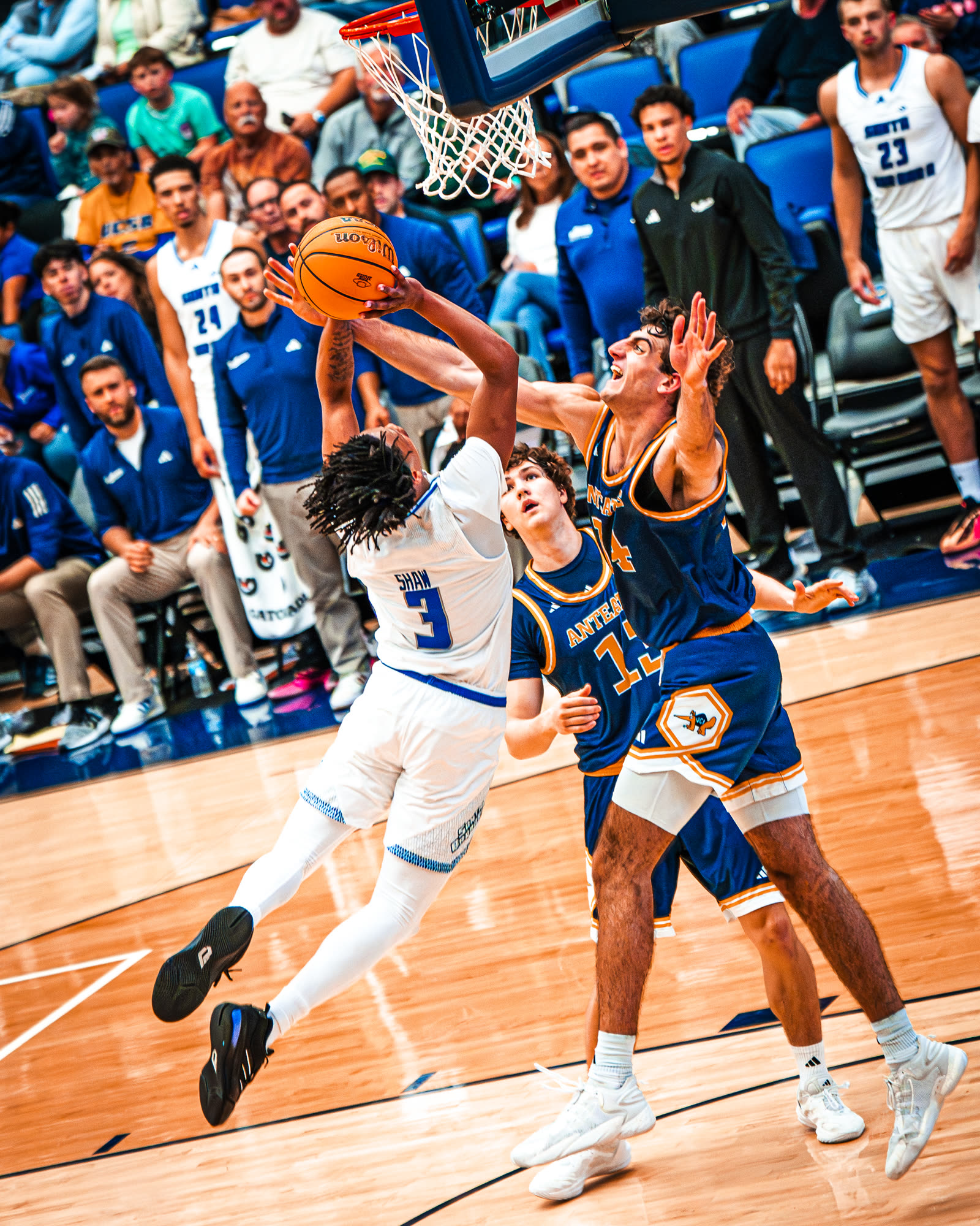 Basketball photo