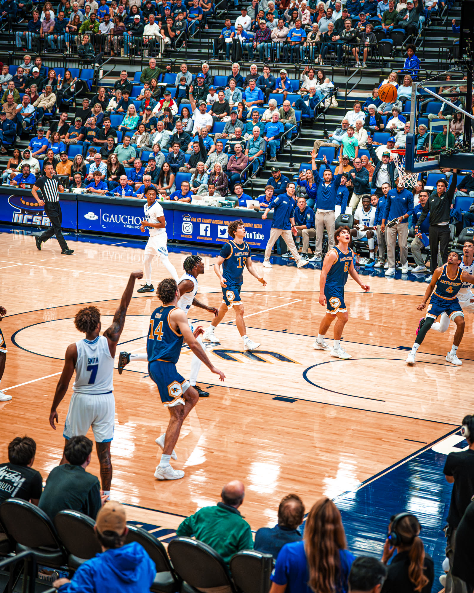 Basketball photo